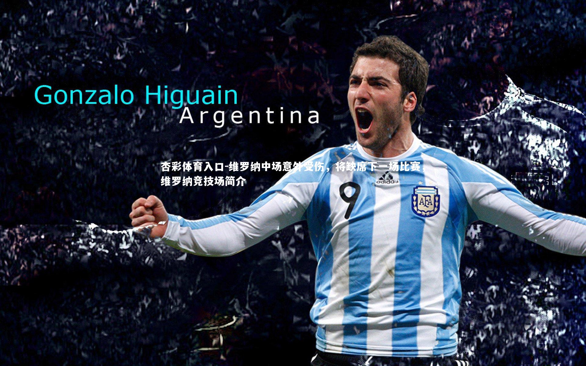 维罗纳中场意外受伤，将缺席下一场比赛，维罗纳竞技场简介