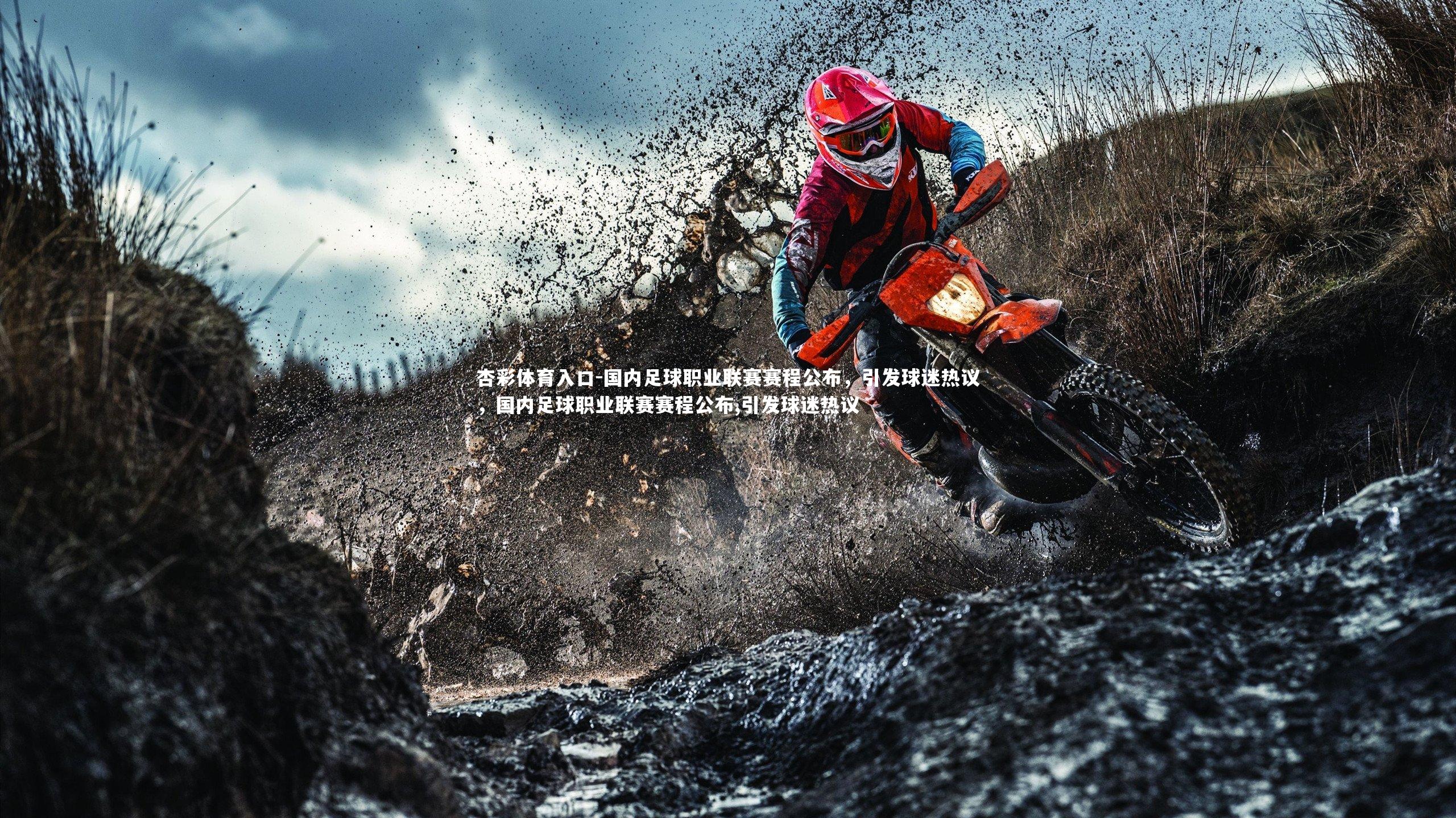 国内足球职业联赛赛程公布，引发球迷热议，国内足球职业联赛赛程公布,引发球迷热议